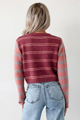 Beyond Ordinary Striped Knit Sweater (Plum Combo)