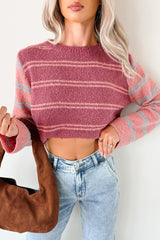 Beyond Ordinary Striped Knit Sweater (Plum Combo)